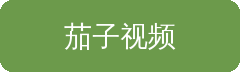 茄子视频